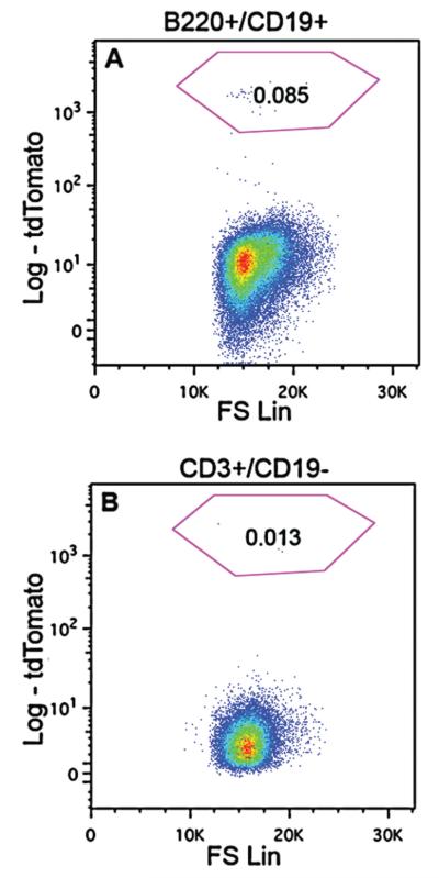 Figure 13