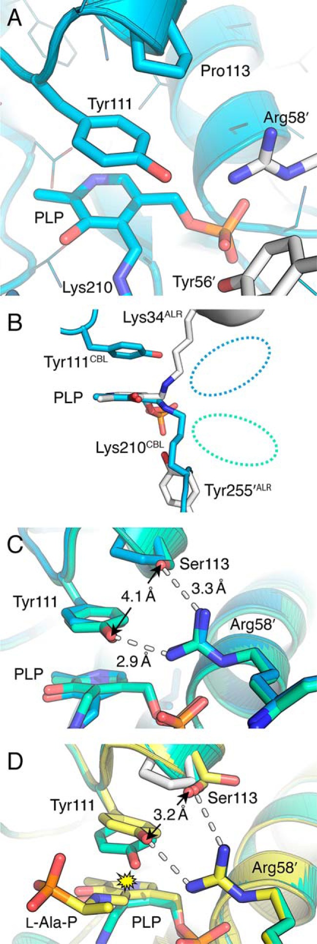 FIGURE 4.