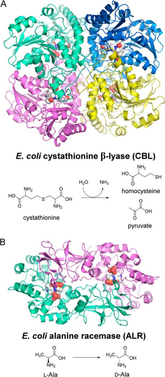 FIGURE 1.