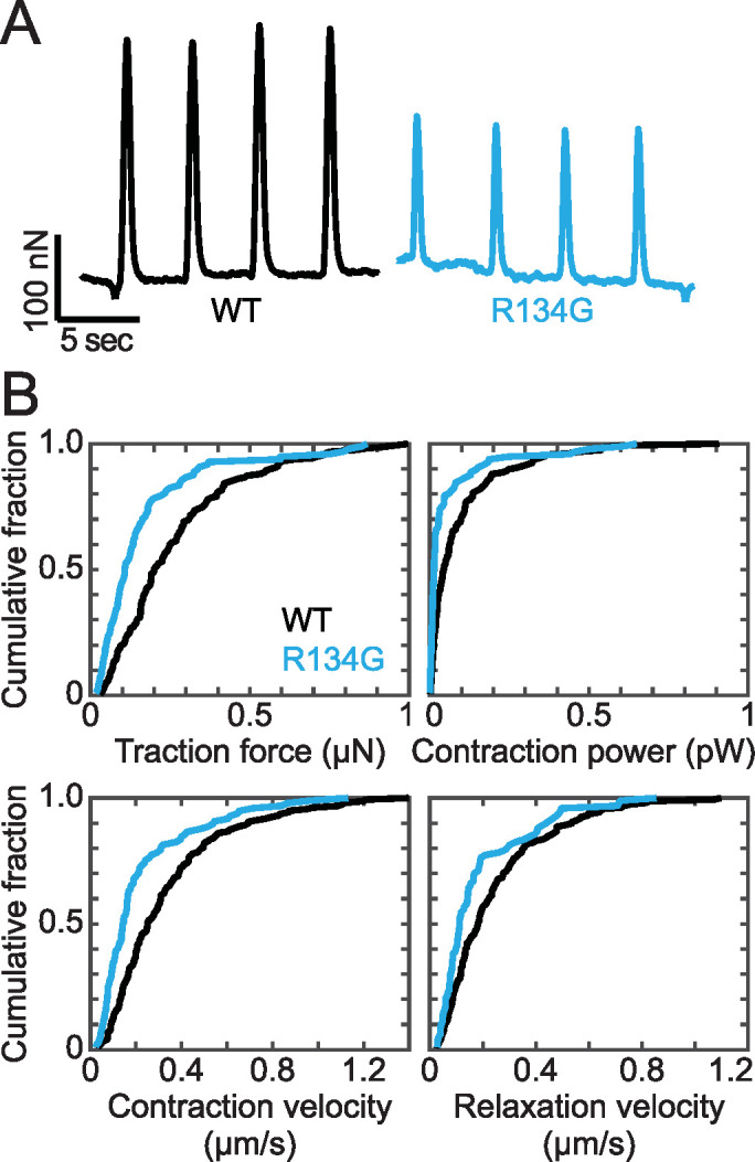 FIGURE 7: