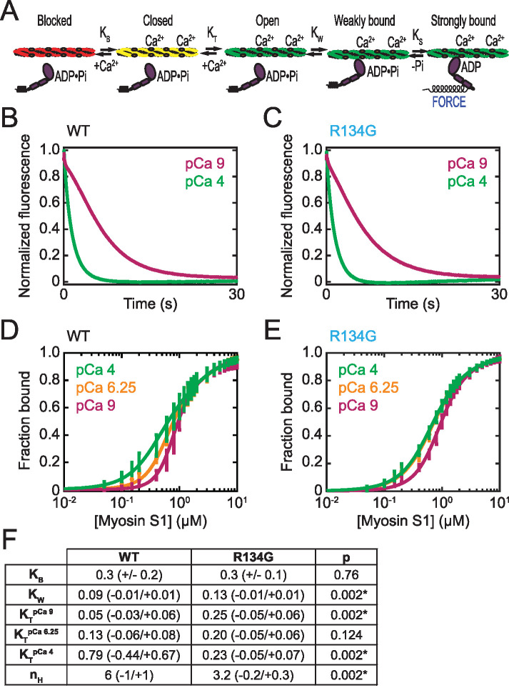 FIGURE 5: