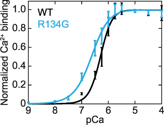 FIGURE 4: