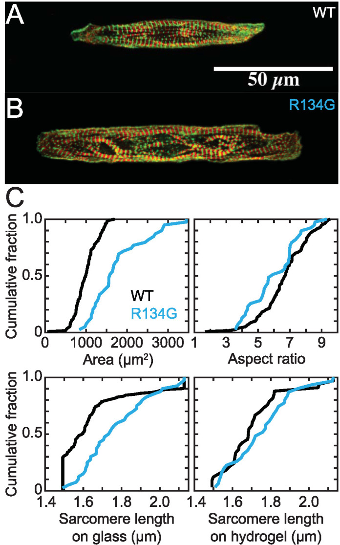 FIGURE 6: