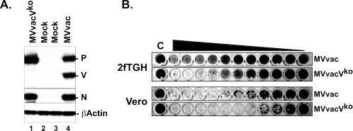 FIG. 5.