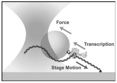 FIG. 12