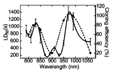 FIG. 3