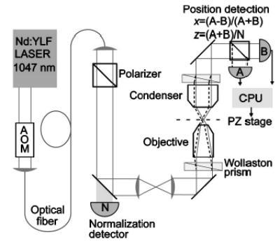 FIG. 13