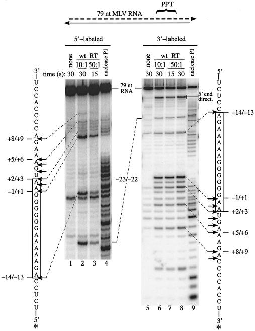 FIG. 3.