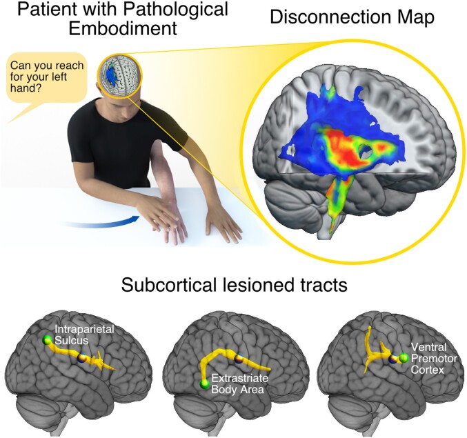 Graphical Abstract