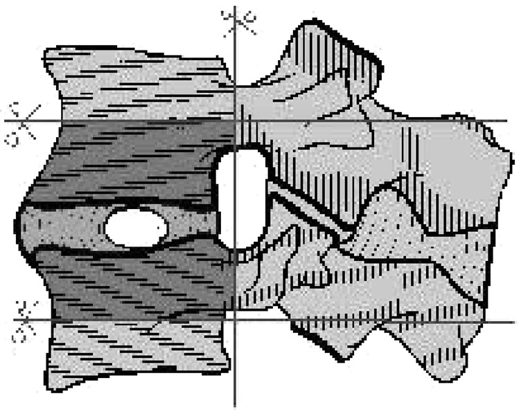 Fig. 1