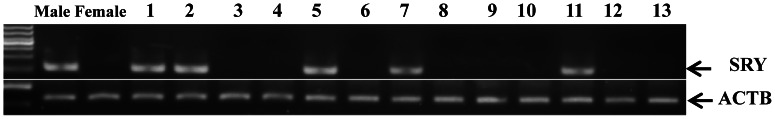 Figure 9