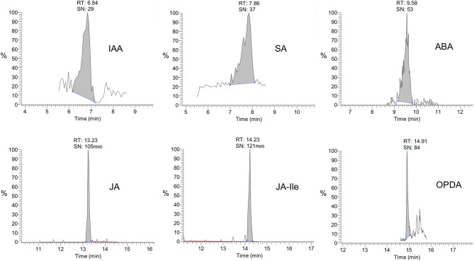 Figure 2