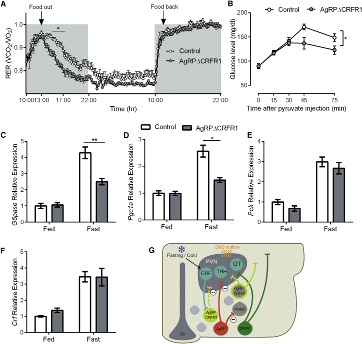 Figure 6