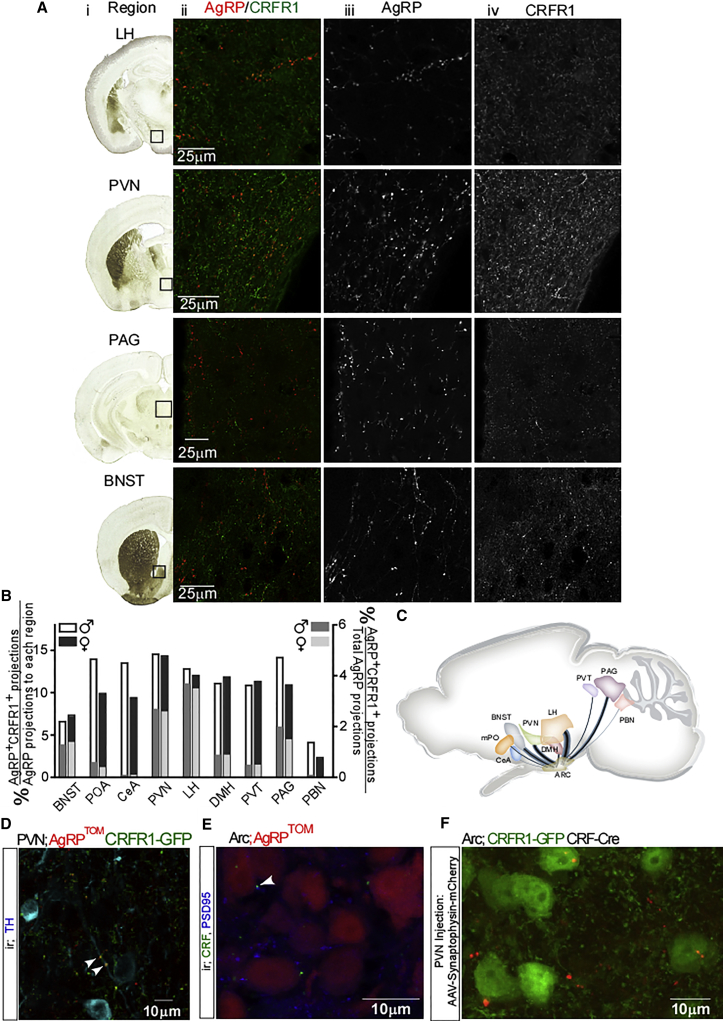 Figure 3