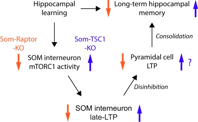 Figure 13.