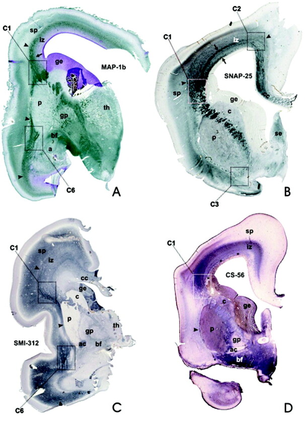 Fig 4.