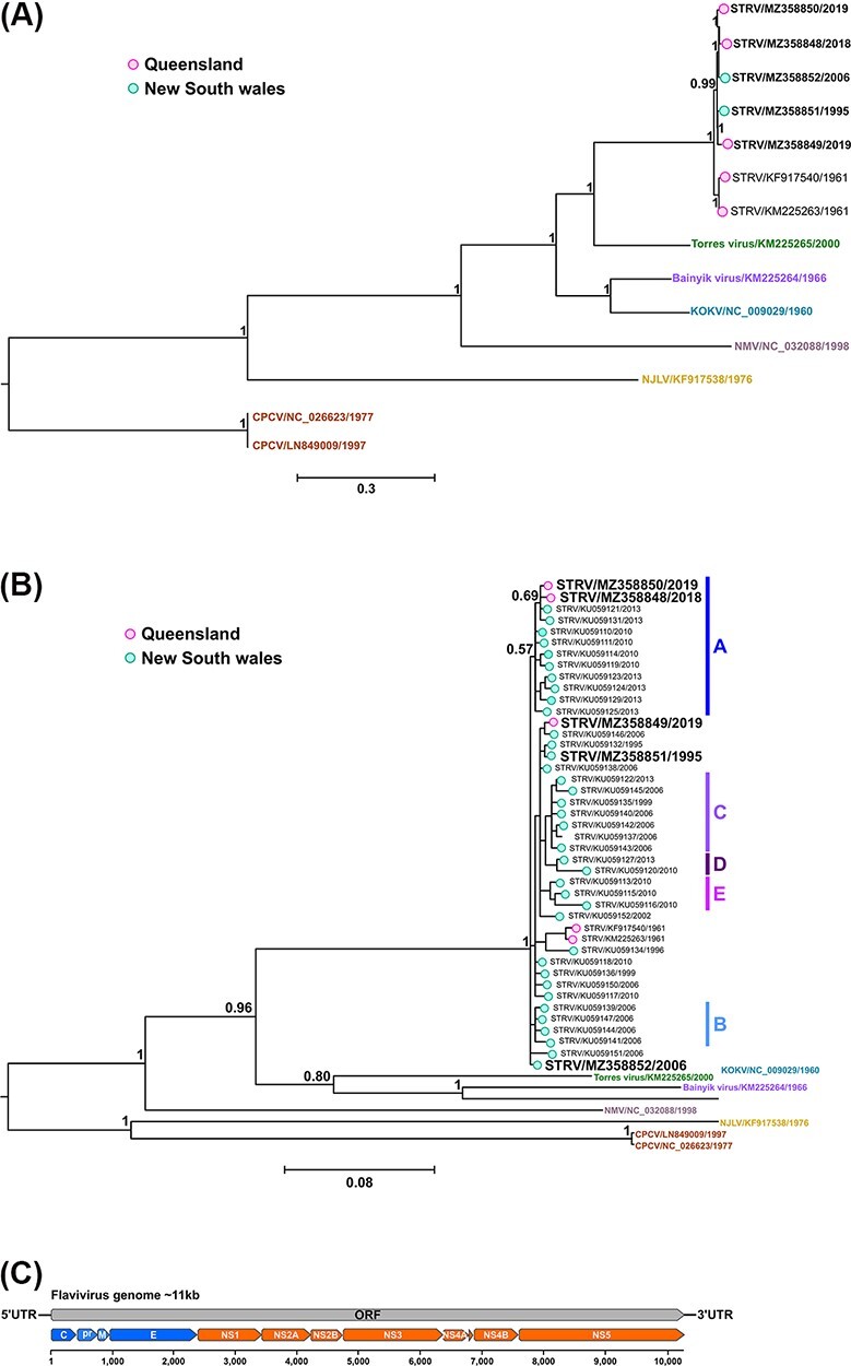 Figure 3.