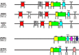 Fig. 2
