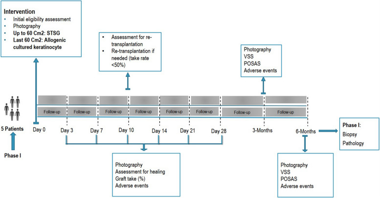 Fig. 4