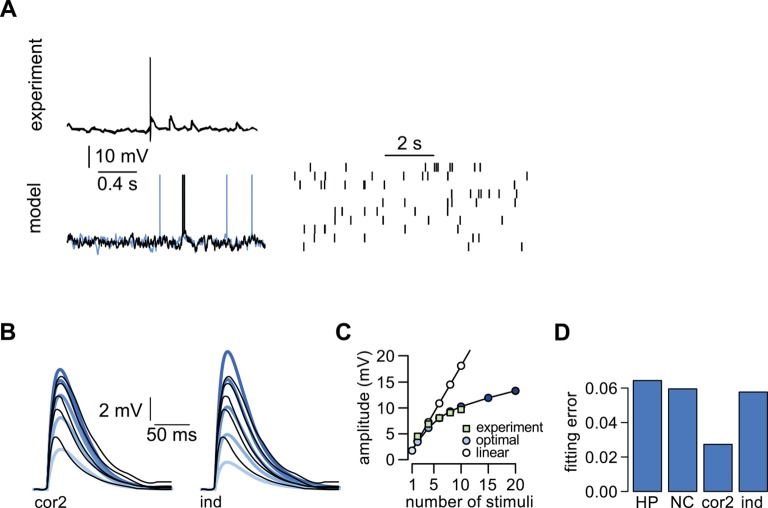 Figure 5—figure supplement 2.