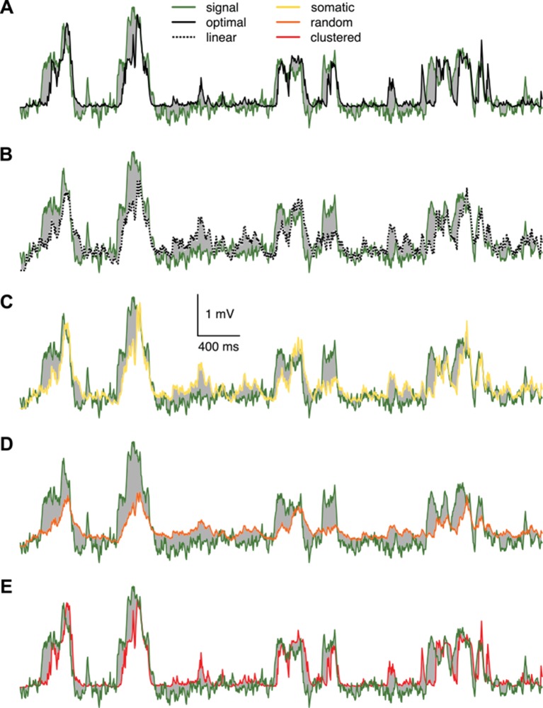 Figure 4—figure supplement 1.