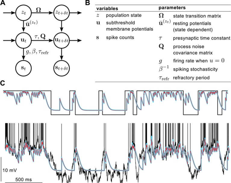 Figure 2—figure supplement 1.