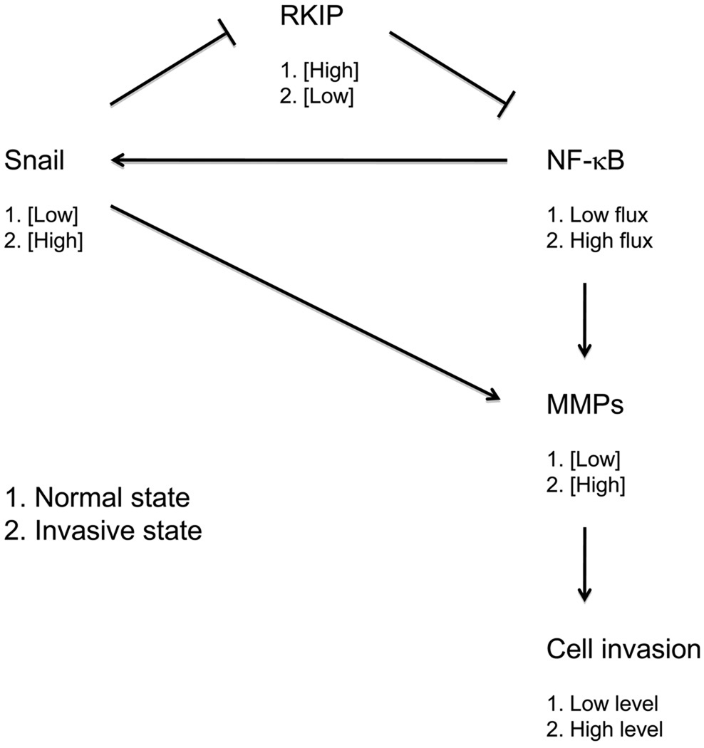 Fig. 9