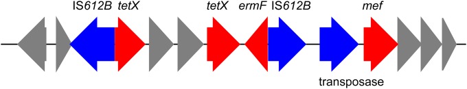 FIG 1