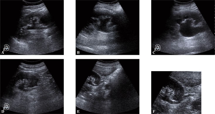 Fig. 10