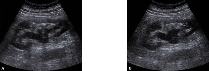 Fig. 9