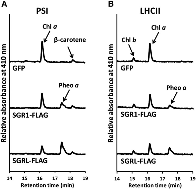 Figure 10.