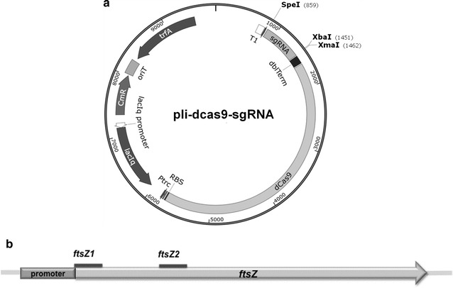 Fig. 2