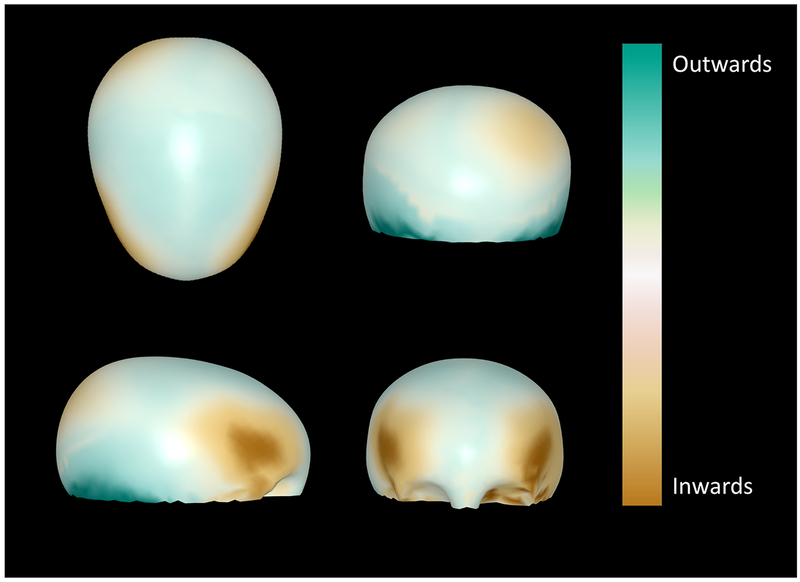 Figure 5: