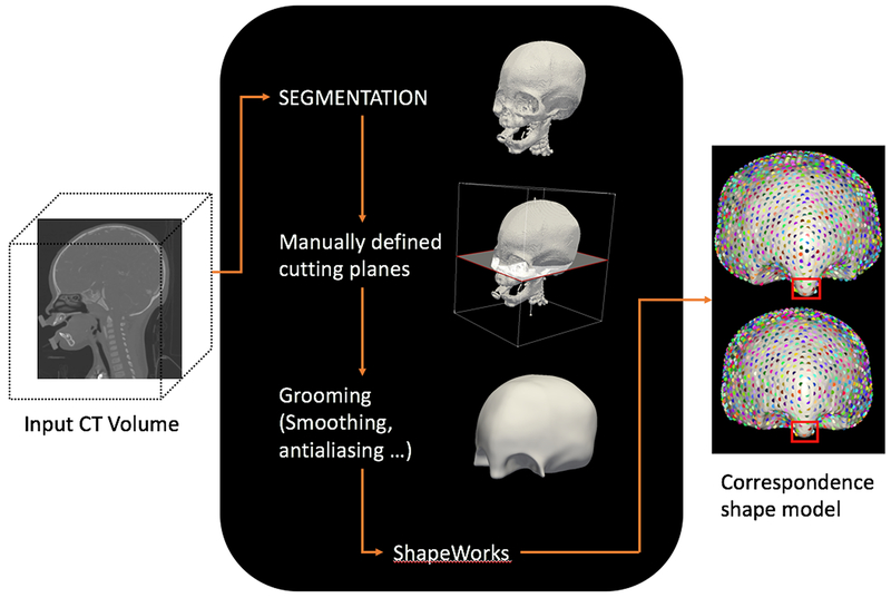 Figure 2: