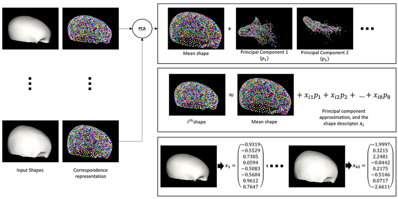 Figure 3: