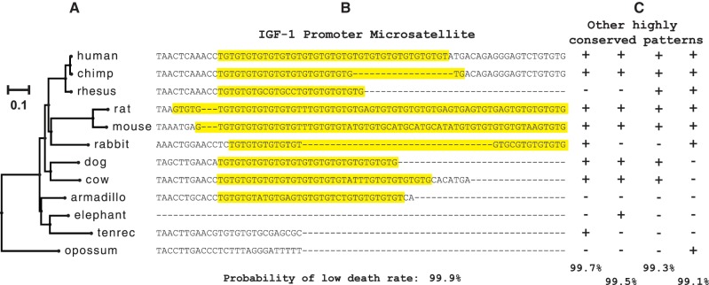 Fig. 1.—