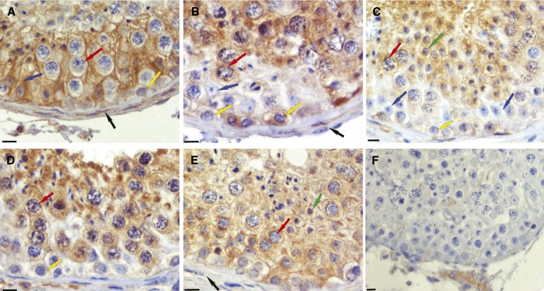 Fig. 8.