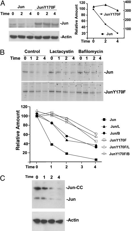 Fig. 6.