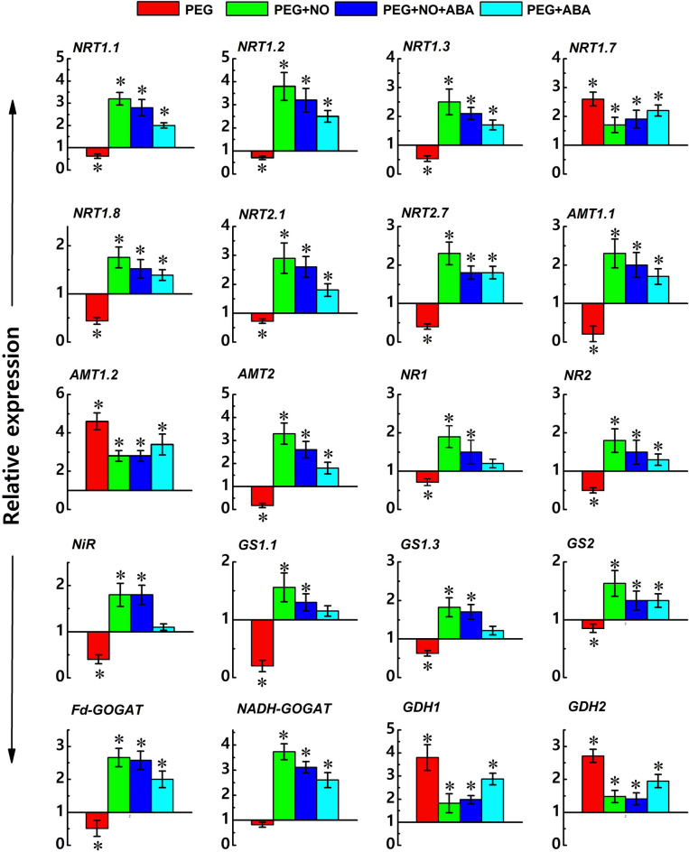 Figure 6