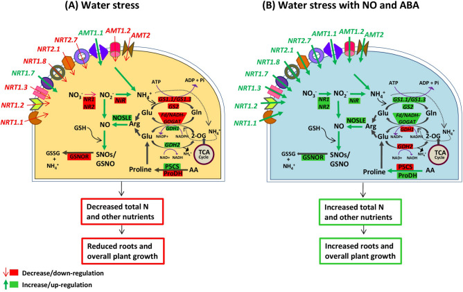 Figure 7