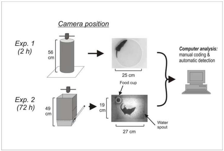 Fig. 1