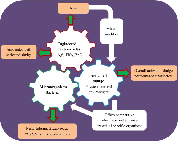 Graphical Abstract Figure.