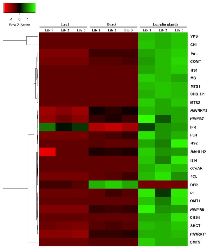 Figure 6