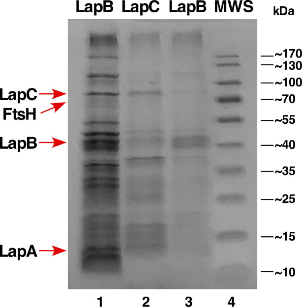 Figure 14