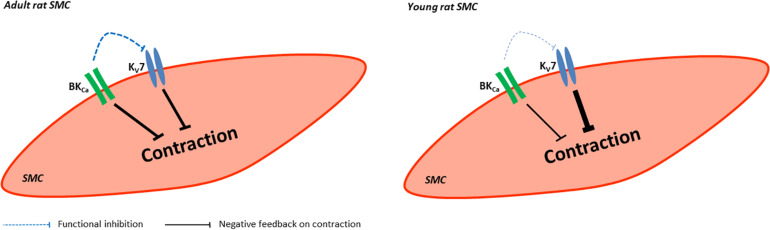 FIGURE 14