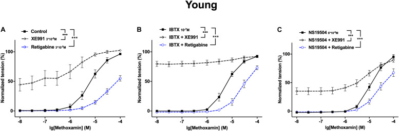 FIGURE 13