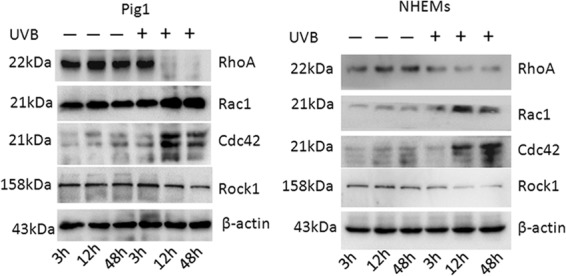 FIG 3