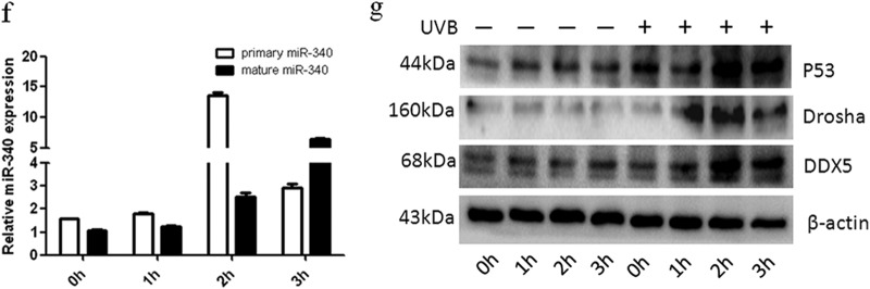 FIG 2