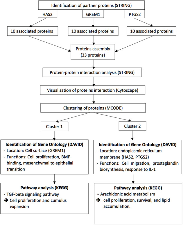 Figure 2