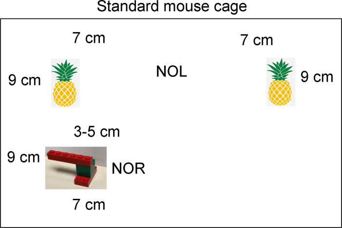 Figure 1—figure supplement 1.